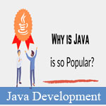 3 Reasons Why Java is so Popular