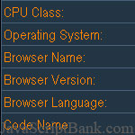 Full System/Browser Info © JavaScriptBank.com