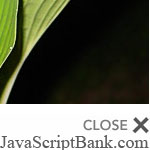 Lightbox JS v2.0 © JavaScriptBank.com