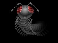 Alien Ant Worm